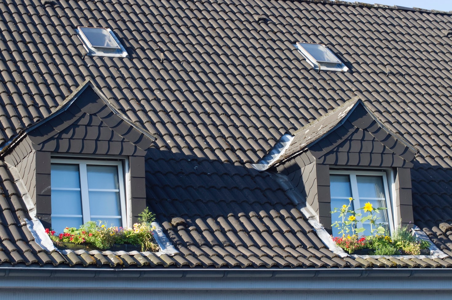 Crafting Stunning Roofs: A Look Behind the Scenes